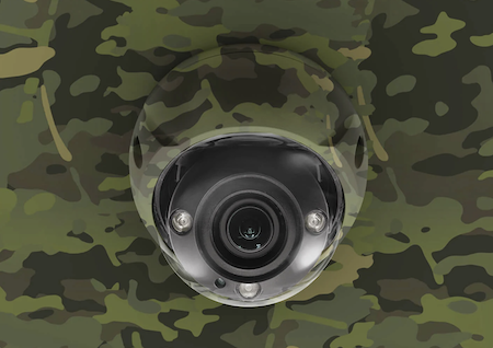 Camouflage security surveillance cameras
