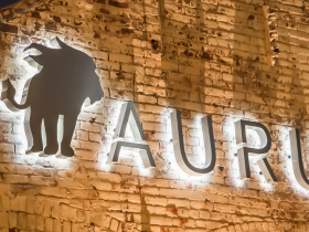 Smart home installation by Aurum for Vail